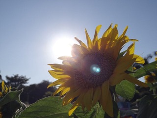 DSC00803.JPG