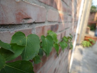 DSC03815.JPG