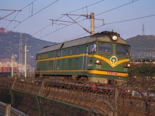 1191981