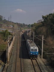 1206445