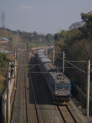 1206442