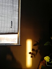 72828DCD-F937-4BDA-9FD1-28E77ABA003D/L0/001