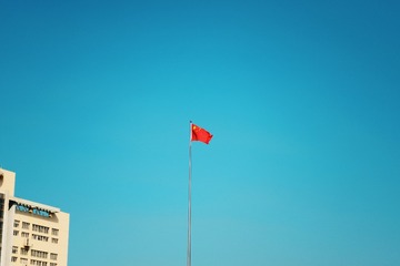 238753