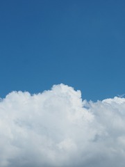 58D25356-1A99-4933-A3F5-858D33E448F5/L0/001