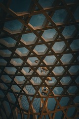 3D98E1DC-67AD-4D77-AA15-DA8402CF4D26/L0/001