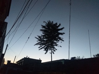 33915