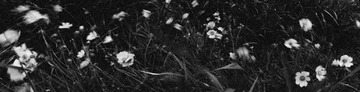 5A7A073C-539E-452E-8157-34EE730B669F/L0/001