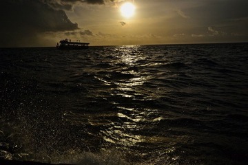DSC_0312.JPG