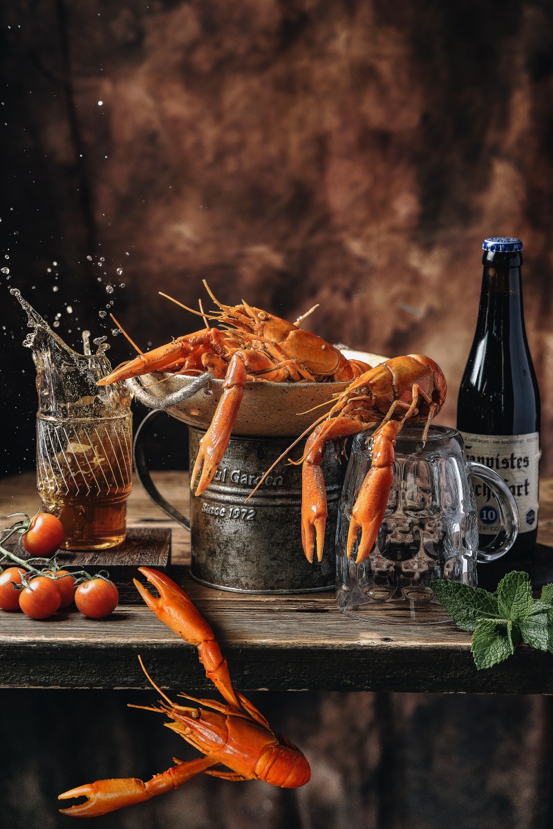 澳洲小龙虾 - 摄影师李先森 - 图虫