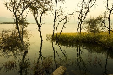 DSC00330.JPG