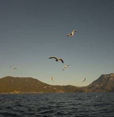 DSC00997.JPG