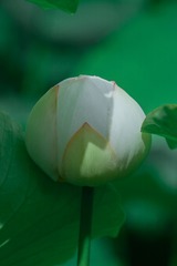 97440