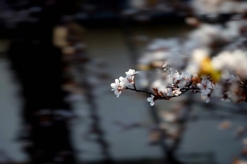 1000310816