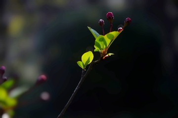 1000310547