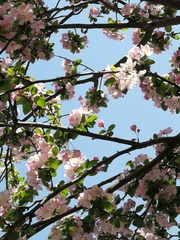 2F7648D6-8740-4E66-B22D-06185819F99D/L0/001