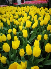 63C54D6C-2234-4F01-9787-B6D61041E340/L0/001