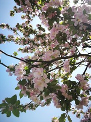 79475EF3-7909-4C82-A733-5C8C73C13CDF/L0/001