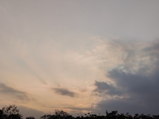 1000062289