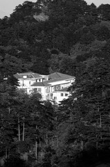 IMGP1144.jpg