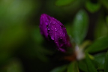 4B6EC3E5-56CF-4155-BFCC-382366F349EE/L0/001