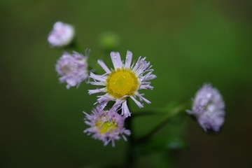 2315E289-853F-4ECD-9898-F5F60DC6914B/L0/001