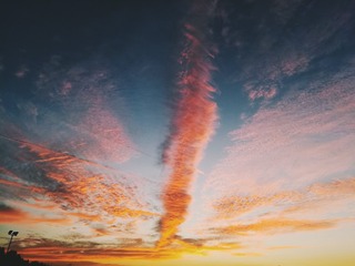 01A00D0D-AB9D-41FF-966B-F266A4FC5B14/L0/001