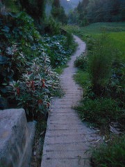 DSCN2399