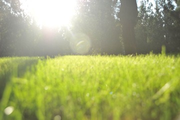 DSC_2179.jpg