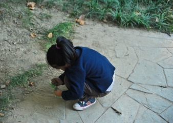 DSC_2269.jpg