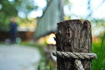 DSC_2302.jpg
