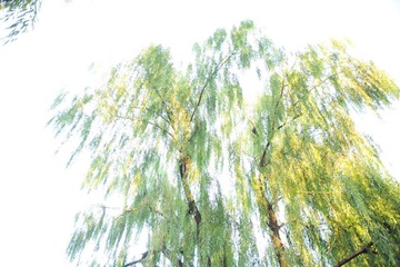 DSC_2349.jpg