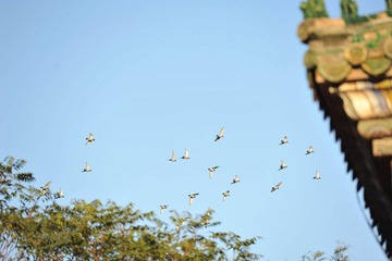 DSC_2435.jpg