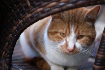 DSC03068.JPG