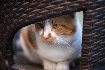 DSC03066.JPG