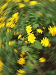 329