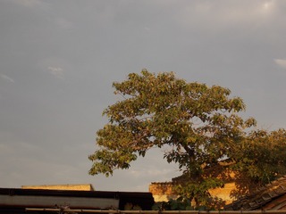 0DA74835-0A96-408D-A4C7-3A18F844EA03/L0/001
