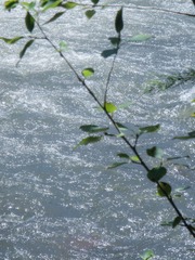 6F81AE59-4EF8-4F0A-98D4-A1069C83D6D4/L0/001