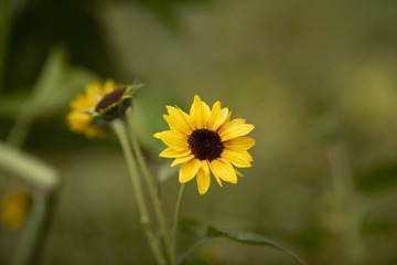 F28274C4-5CA0-4554-B681-A819E946F9CE/L0/001
