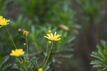 45B16E10-750B-4DB8-B588-4D21A09690DF/L0/001