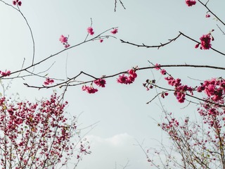 1A018E53-1CAD-42BA-A535-85CEB5C75BCB/L0/001