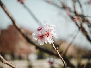 A7FDE0FB-A724-4822-9C47-BA5934B97A0F/L0/001