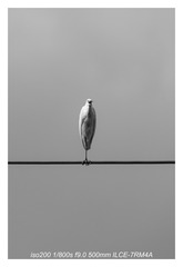 4197