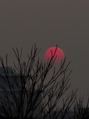 F68C7205-2E3F-4403-806D-FC358AC210FD/L0/001