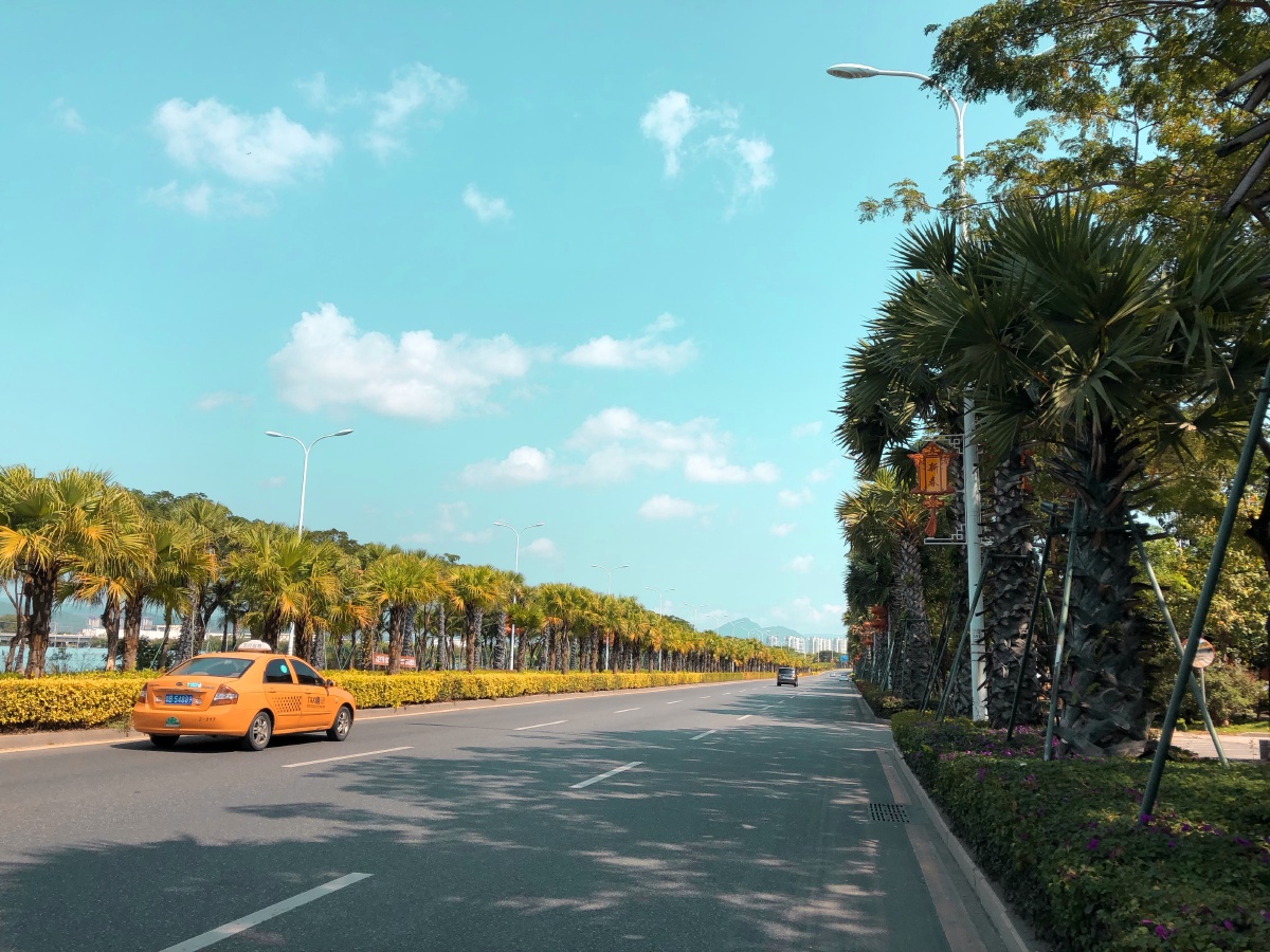 三亚凤凰路风景