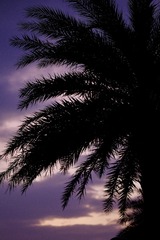 7832D630-5D83-4E0C-BB34-541F9EC539FE/L0/001