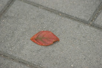 DSC00060