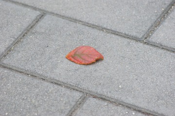 DSC00059
