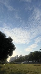 DF9BEE82-FB11-4395-873A-3F4737F06FDE/L0/001