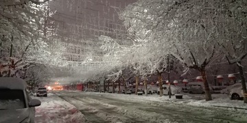 695