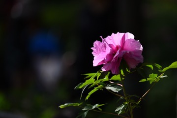 638716
